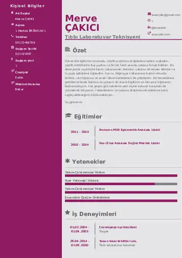 Laboratuvar Teknisyeni Cv Örnekleri cv indir